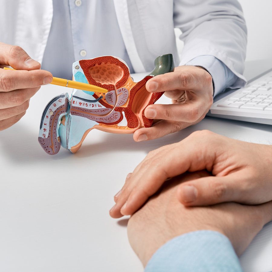 Colloquio sulla prevenzione della prostata e sul referto dell'ecografia al Centro Augusto